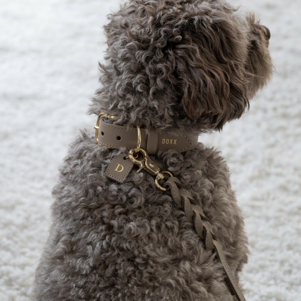 leather dog collar taupe