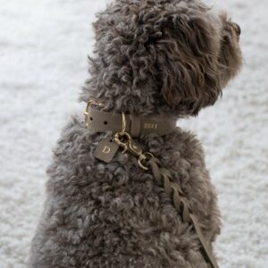 leather dog collar taupe
