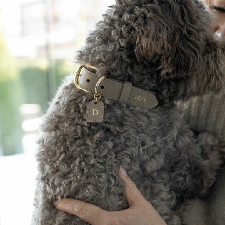 doxx collar taupe