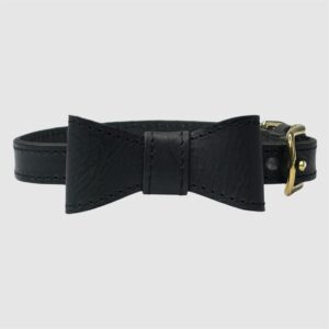dog collar bow tie black