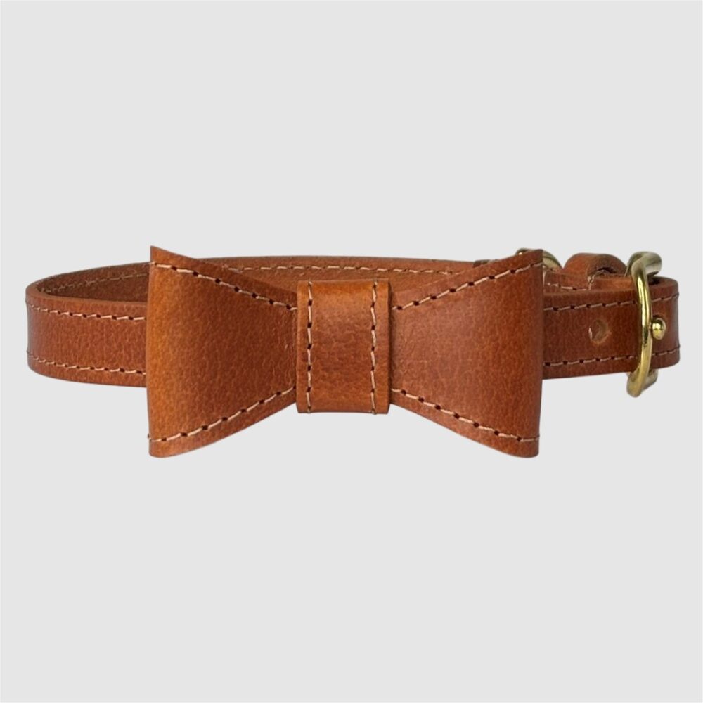 dog collar bow tie cognac