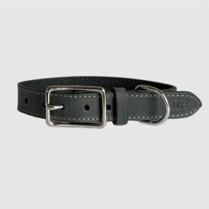 leather doxx collar anthracite
