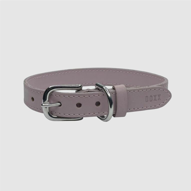 leather dog collar