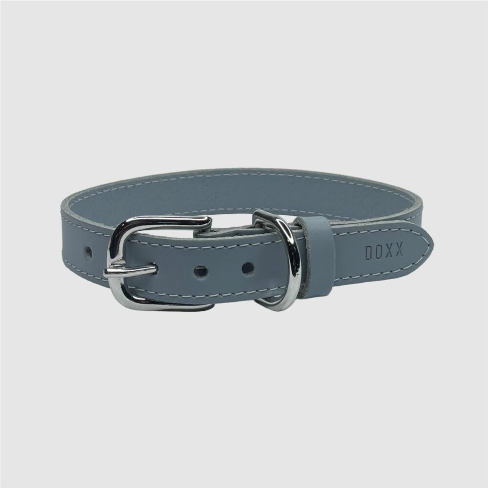 leather dog collar