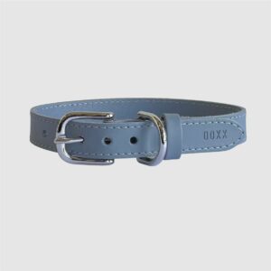 leather dog collar blue