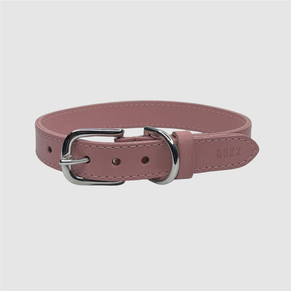 leather dog collar