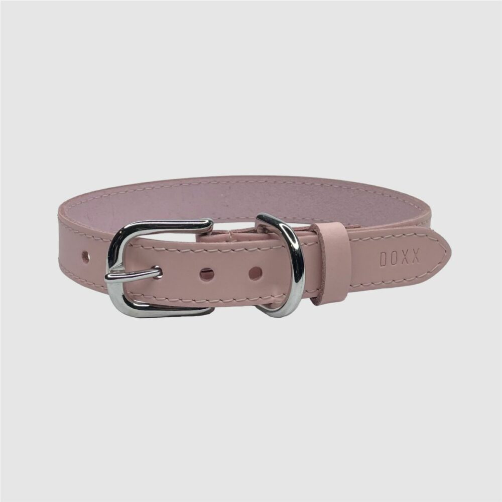 leather dog collar