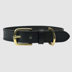 leather dog collar black