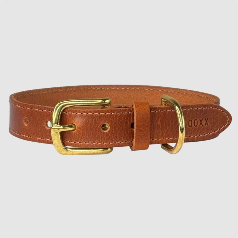 leather dog collar cognac