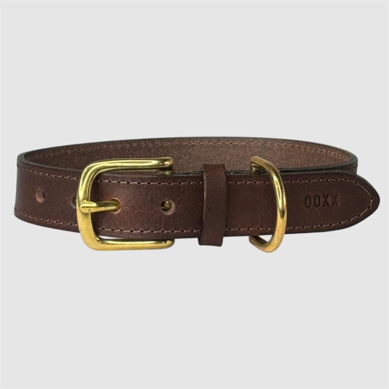 leather dog collar brown