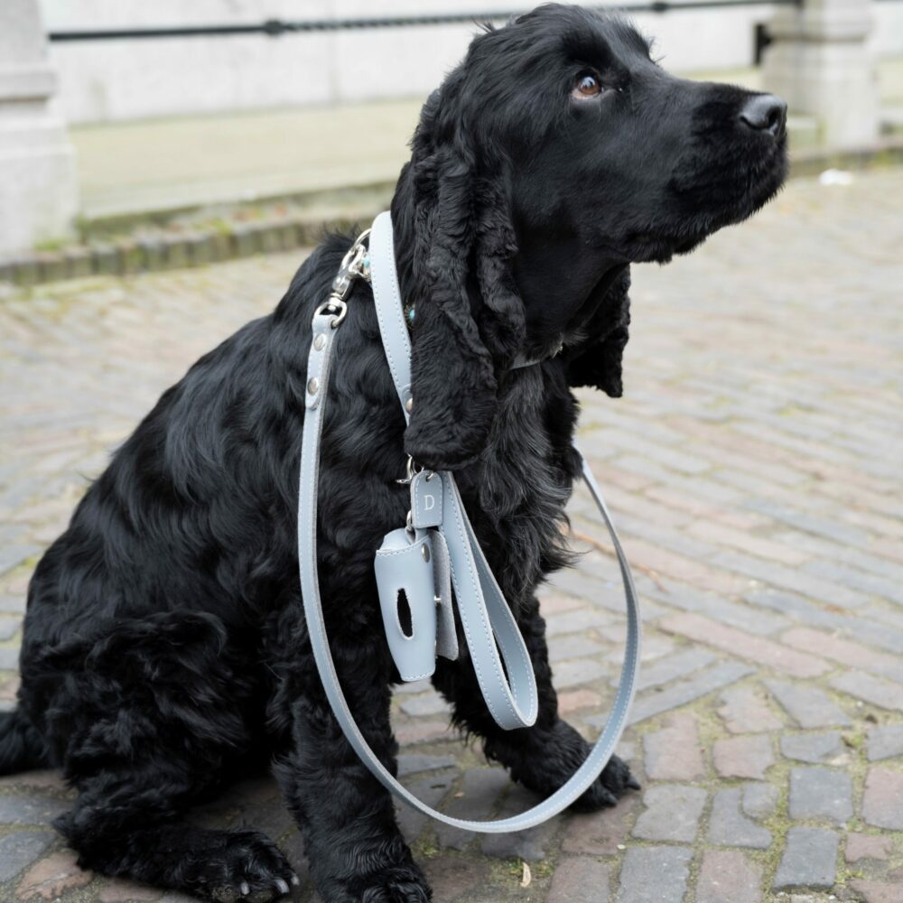 leather dog leash blue