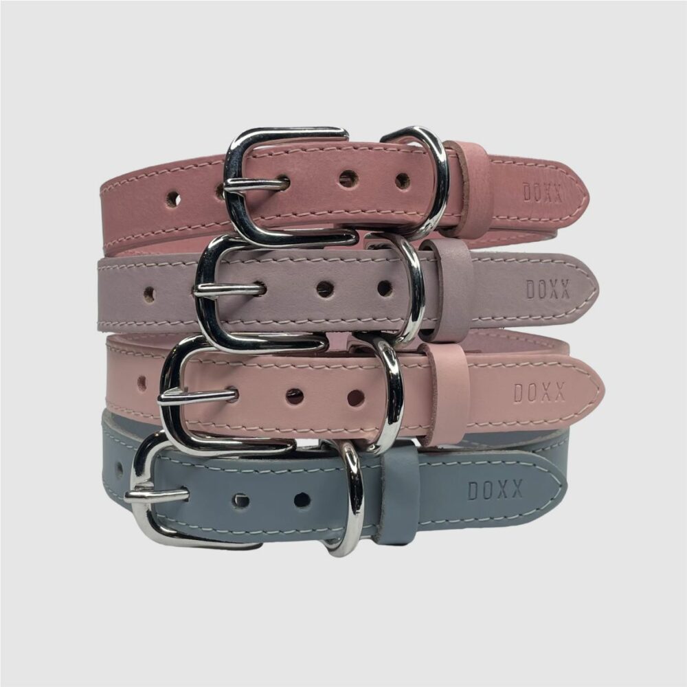 leather dog collar