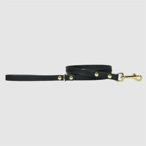 Leather dog leash black
